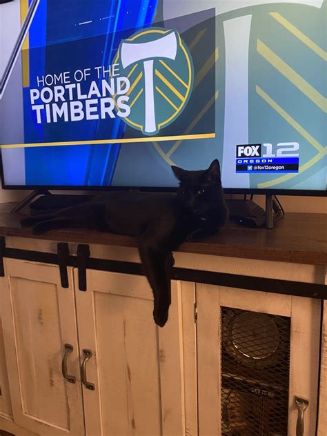 Kpdx Upn 49 & Kptv Fox 12 Oregon.